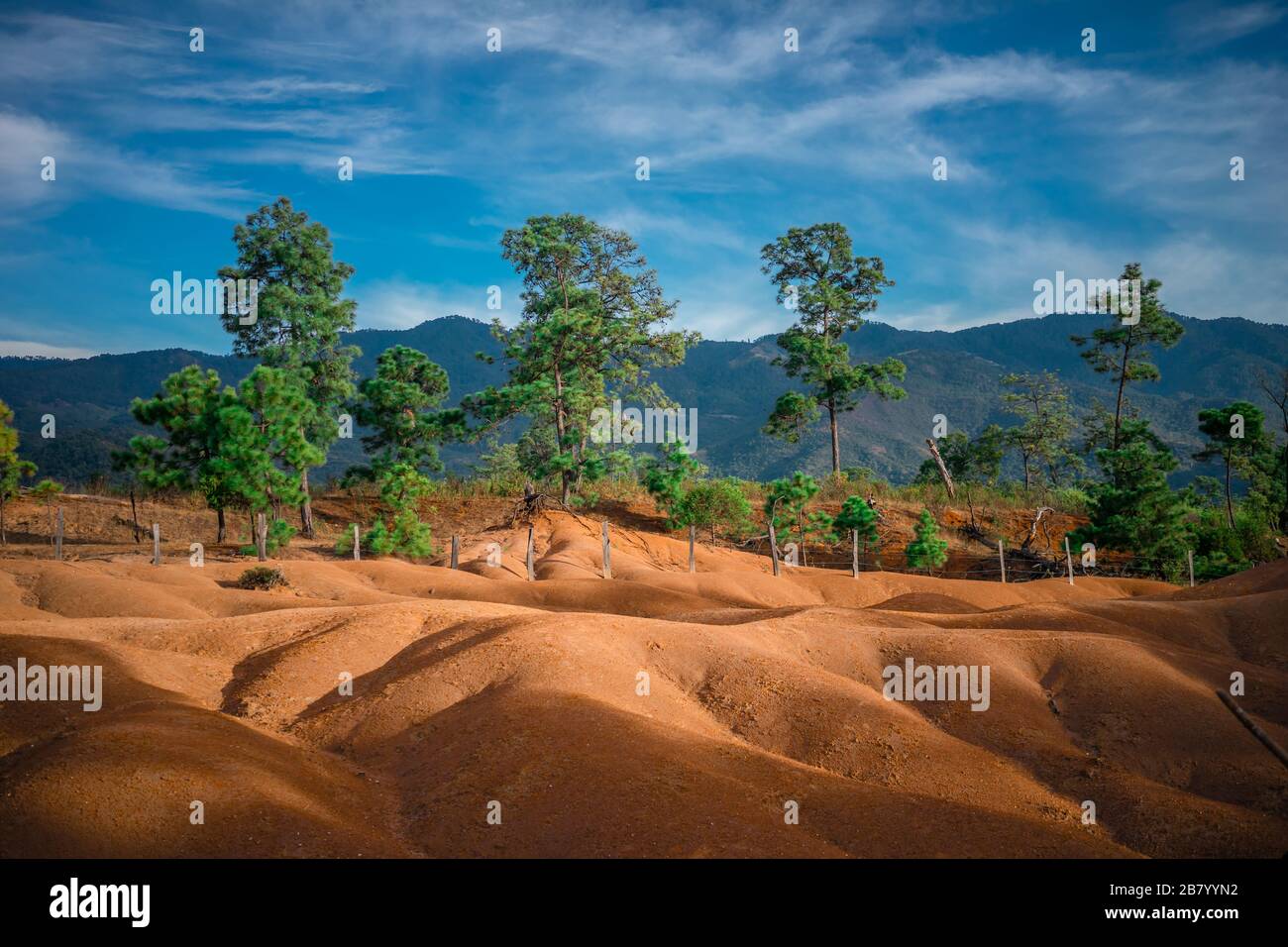 Seltsame Landschaft, deren Boden die Marsoberfläche mit Bäumen beschwört, kleine Dünen aus rotem Sandstein und Berge im Hintergrund Stockfoto