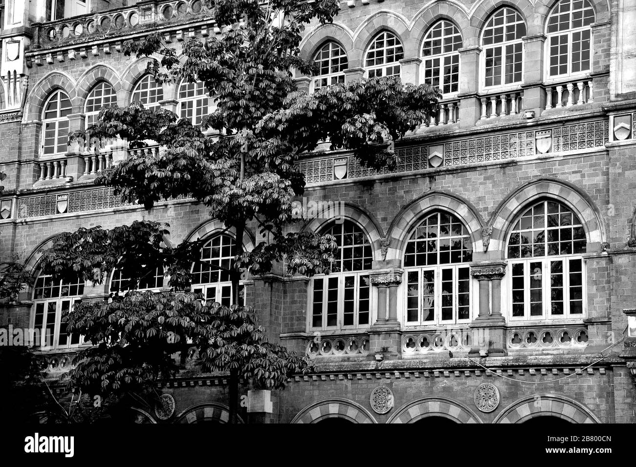 Elphinstone College, Kala Ghoda, Fort, Bombay, Mumbai, Maharashtra, Indien, Asien Stockfoto