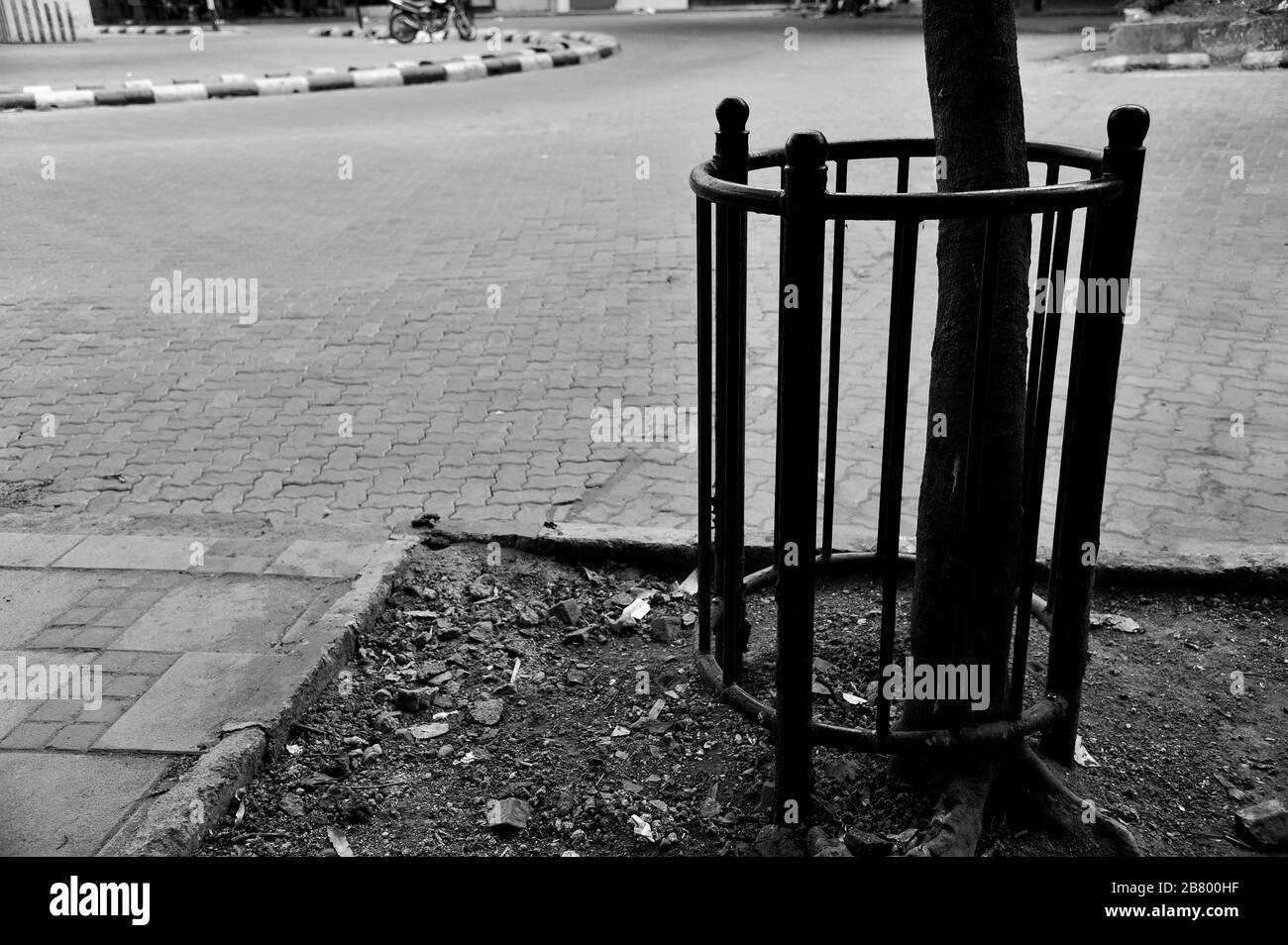 Baumschutz aus Metall, Kala Ghoda, Fort, Bombay, Mumbai, Maharashtra, Indien, Asien Stockfoto