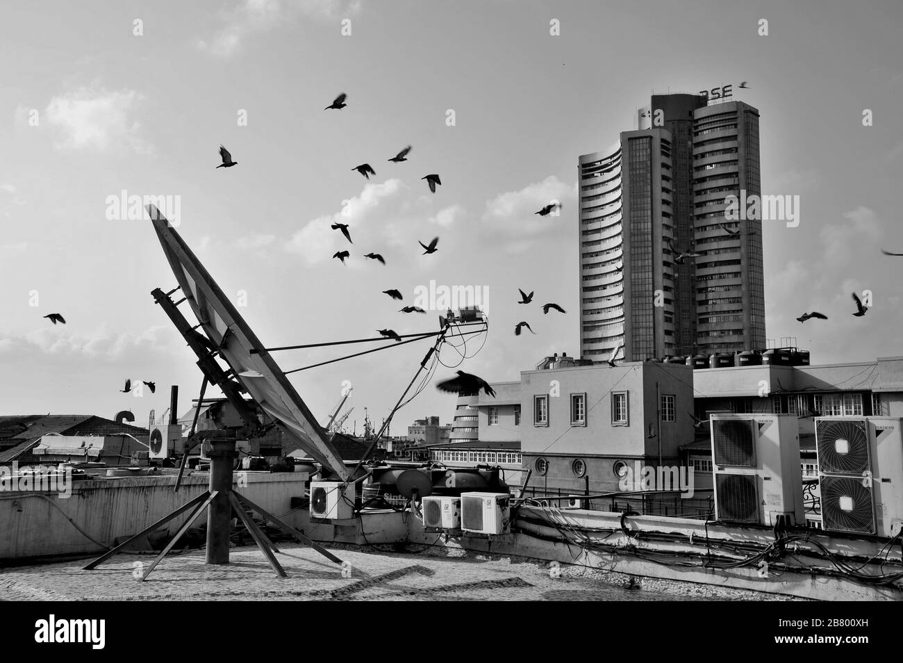 Tauben fliegen, Bombay Stock Exchange, BSE, Bombay, Mumbai, Maharashtra, Indien, Asien Stockfoto
