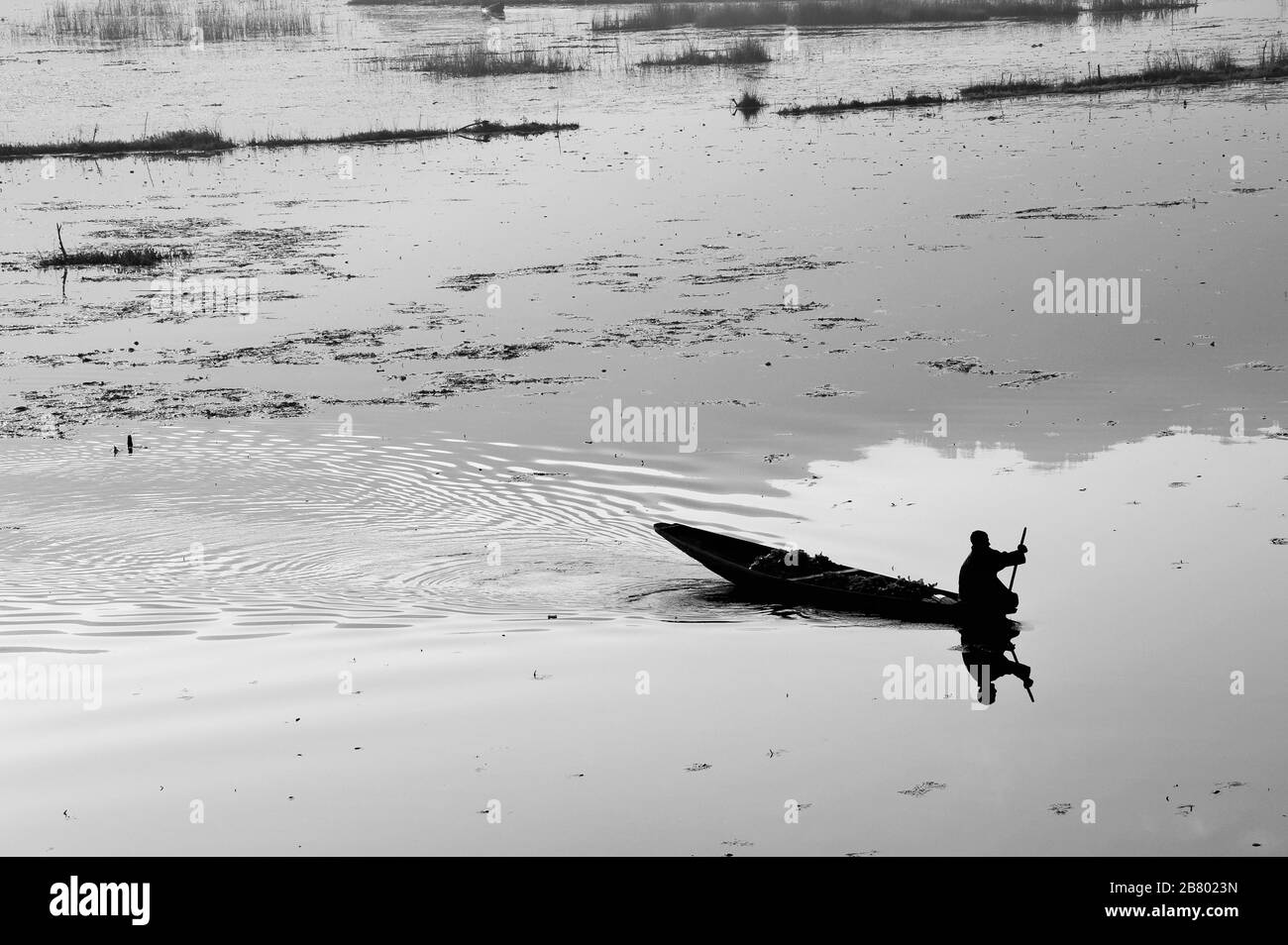 Kaschmir-Planschboot, Nagin Lake, Dal Lake, Srinagar, Kashmir, Jammu und Kashmir, Indien, Asien Stockfoto