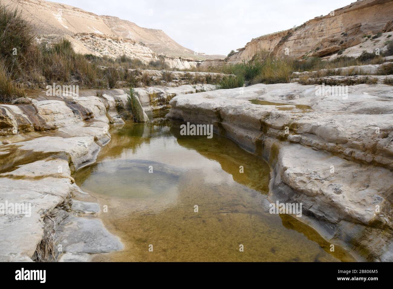 Wadi Hawarim, Negev-Wüste, Israel. In den Steinbecken sammelt sich Hochwasserwasser Stockfoto