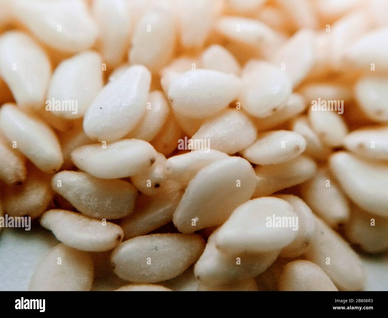 Ein Bild von Samen Stockfoto