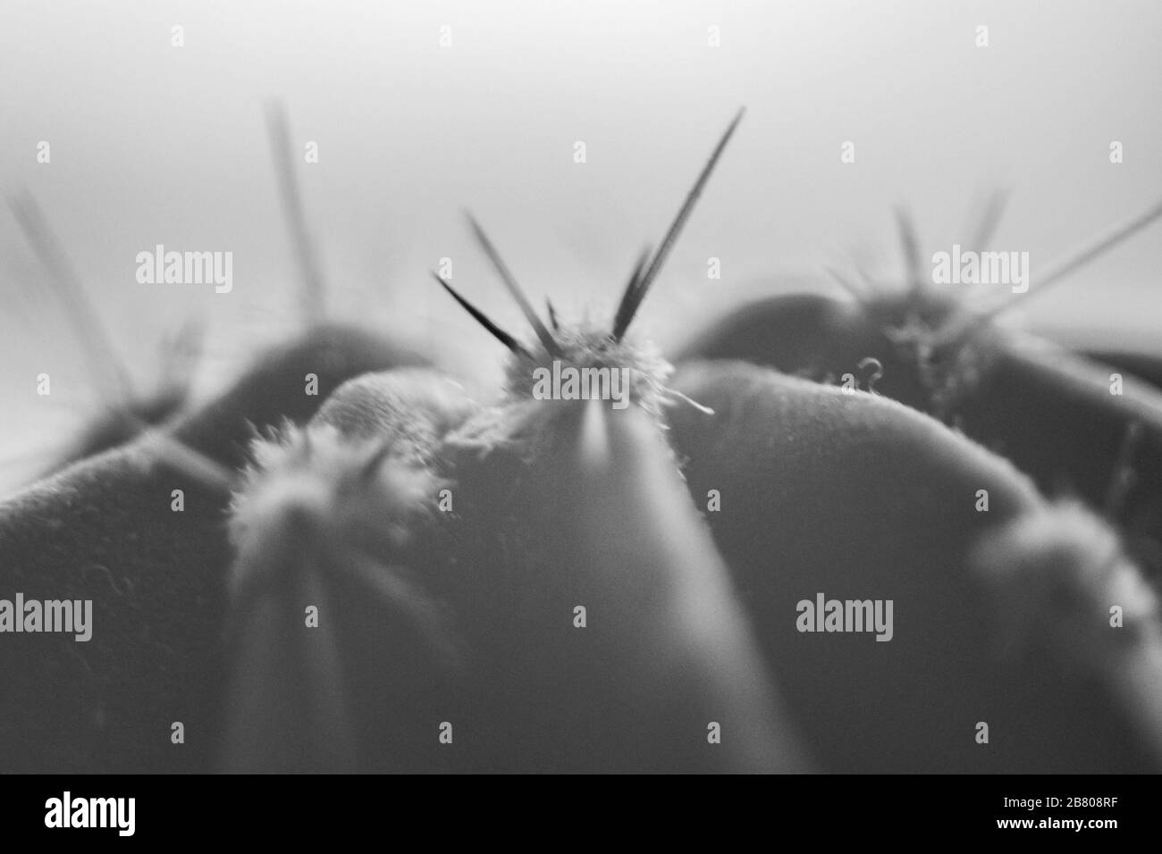 Meine Fotos Stockfoto