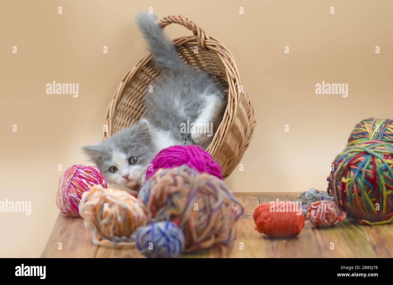 Süße flauschige Katze spielt mit Strickball. Süßes Kätzchen und Fadenball.  Katze mit Fäden in einem gewattelten Korb Stockfotografie - Alamy
