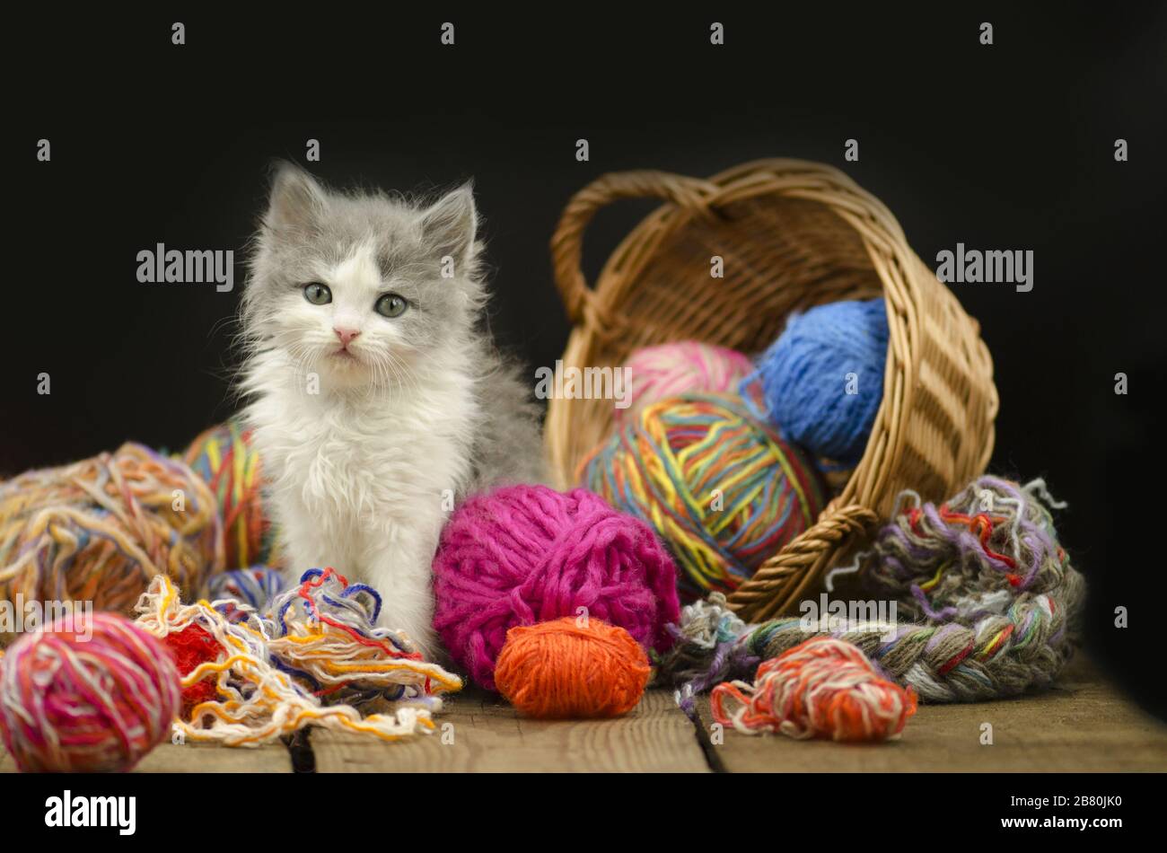 10 Stück Kratzbälle Aus Rattan Für Katzen – Bunt, Langlebig, Ideales Spielzeug Für Wohnungskatzen