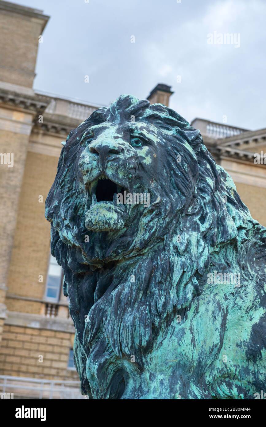Große Bronzeplastik eines männlichen Löwen auf dem Gelände der Holkham Hall in Norfolk Stockfoto