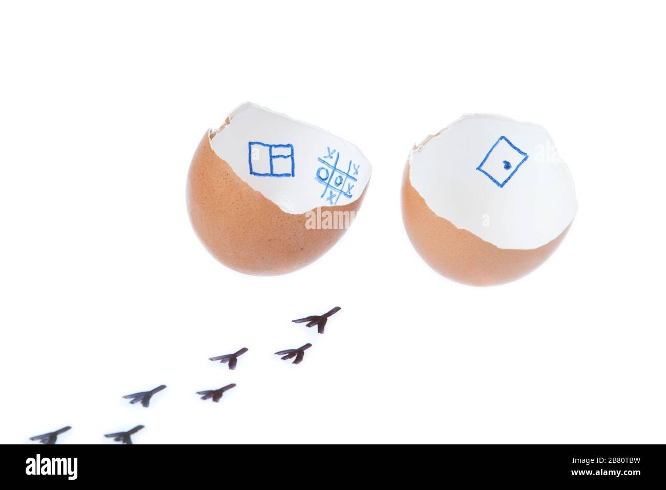 Aus dem Ei geschlüpfte Küken. Auf weißem Hintergrund. Stockfoto