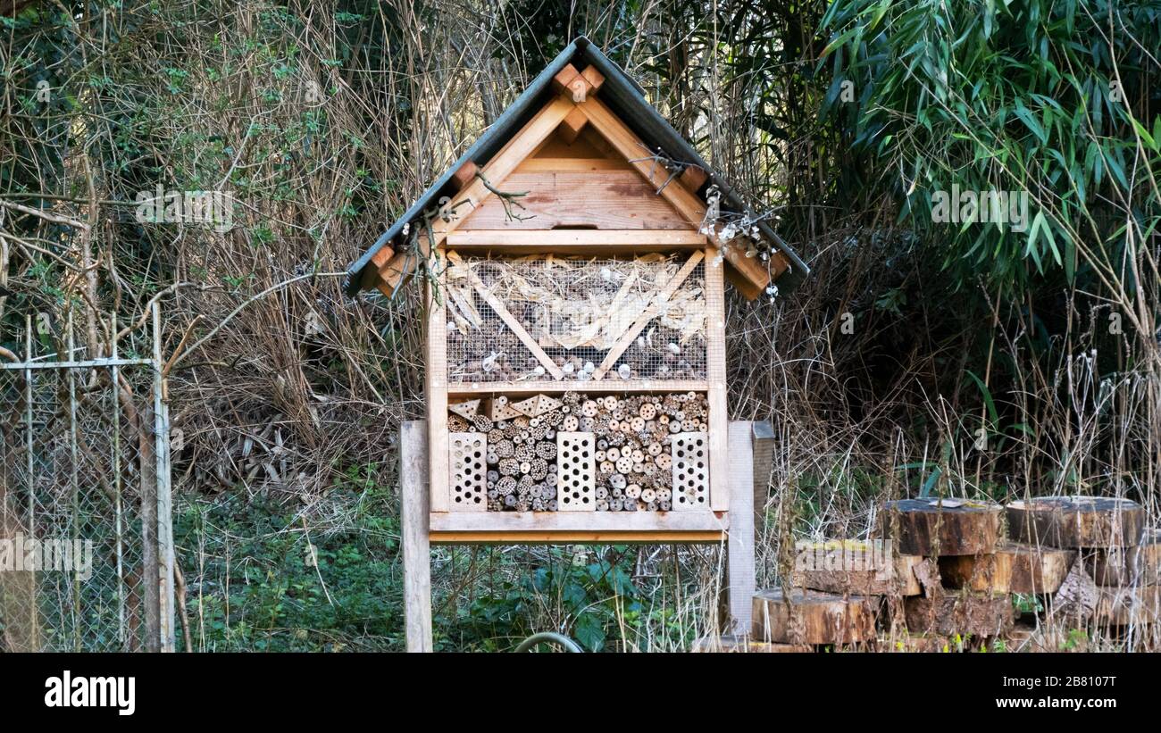 Blick auf ein Insektenhotel Stockfoto