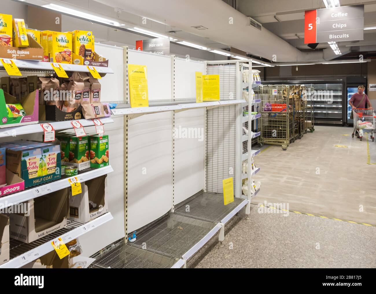 Coles Supermarkt in Rose Bay, Sydney, mit leeren toilettenwalzenregalen. Stockfoto