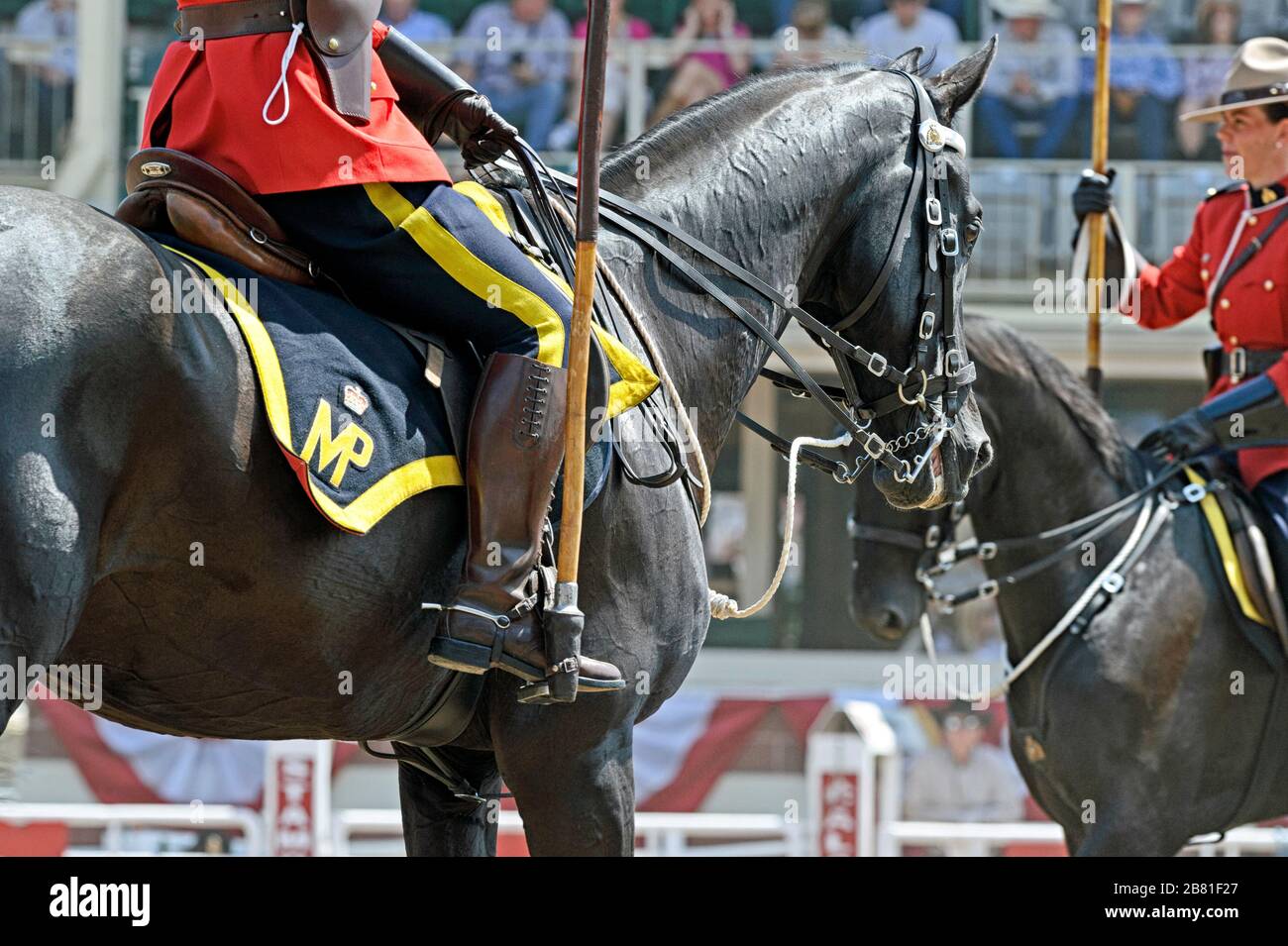 Royal Canadian Mounted Police (RCMP) - musikalische Fahrt im Calgary Stampede, Alberta Kanada Stockfoto