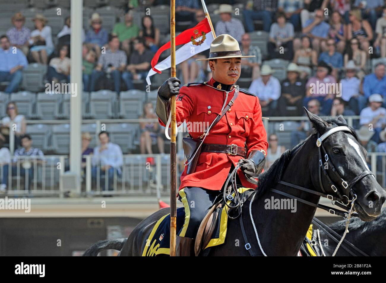 Royal Canadian Mounted Police (RCMP) - musikalische Fahrt im Calgary Stampede, Alberta Kanada Stockfoto