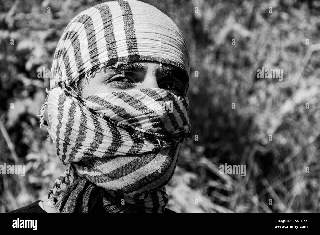 Meine Fotos Stockfoto