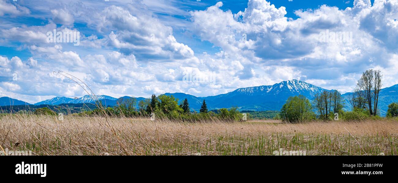 Landschaft in Oberbayern, rund um den chiemsee im Voralpenland mit grünem Gras und den Bergen im Hintergrund Stockfoto