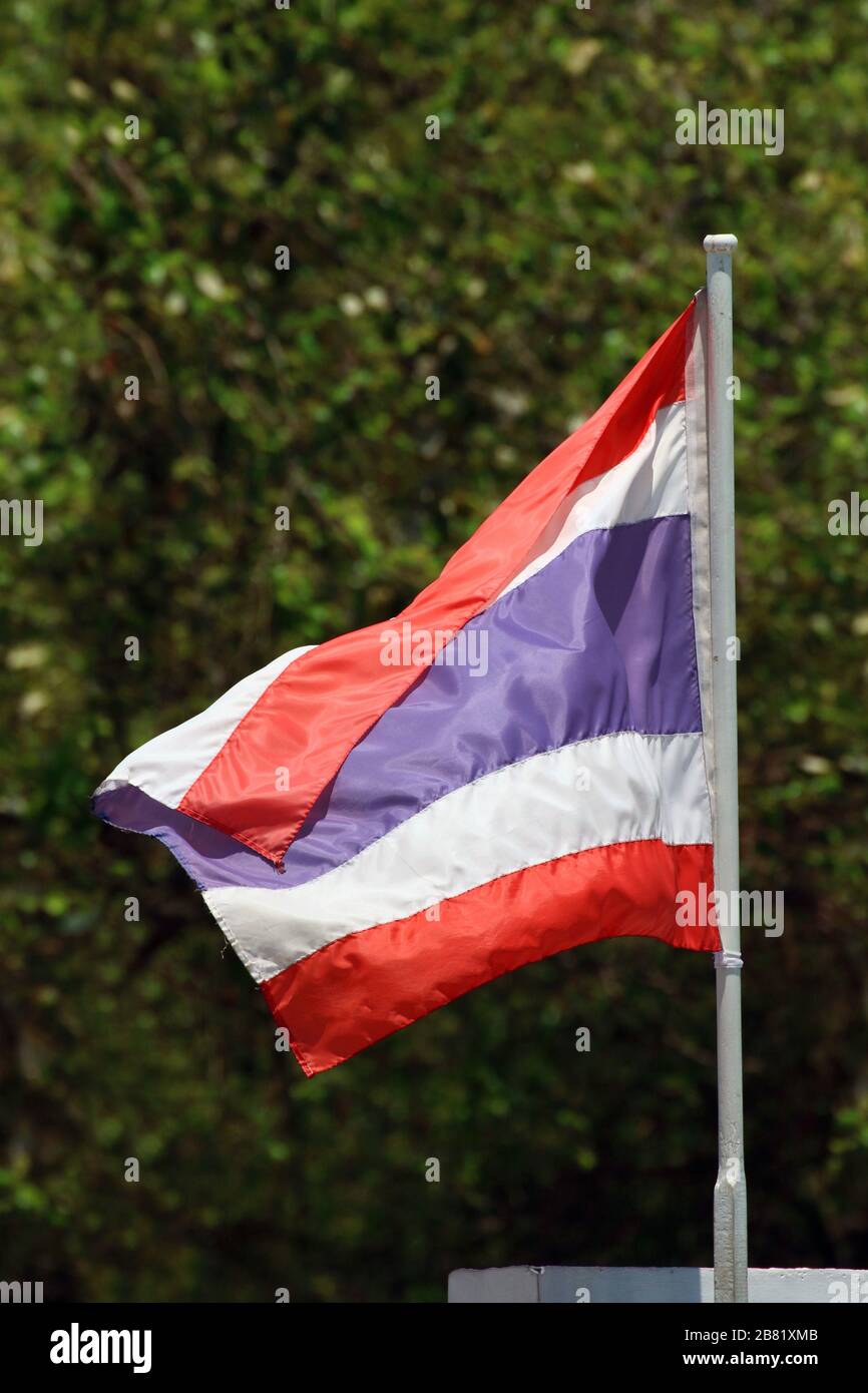 Thailändische Flagge, thailändische Flagge auf unscharfem Naturbaumhintergrund, rot-blaue weiße Flagge thailand Stockfoto