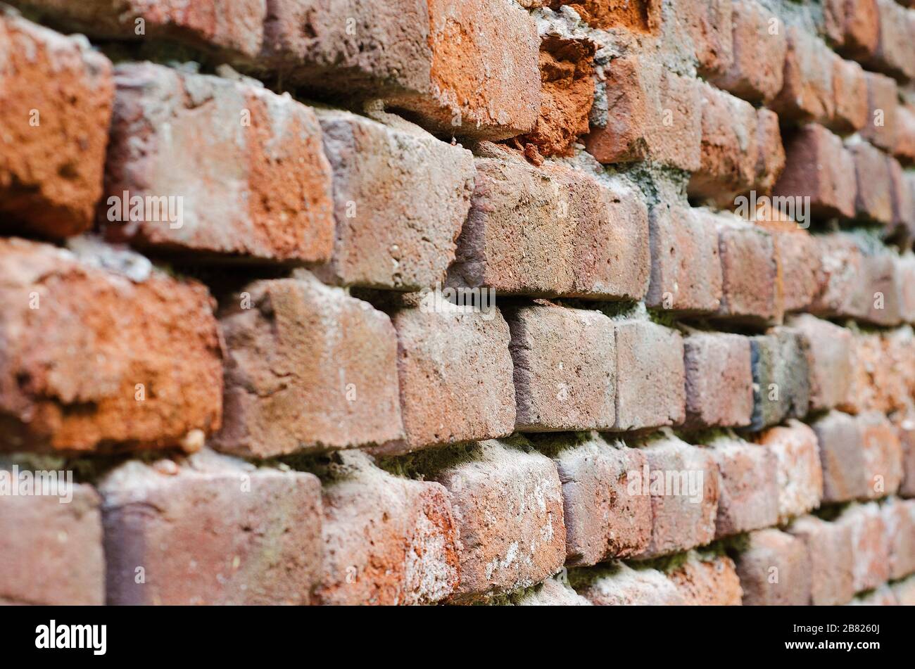 Wand aus rotem Backstein Stockfoto