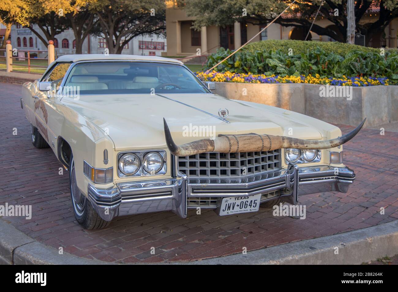 Amerikanischer Oldtimer mit longhorn Horns auf der Vorderseite im Stockyard-Viertel von Fort Worth Texas Stockfoto