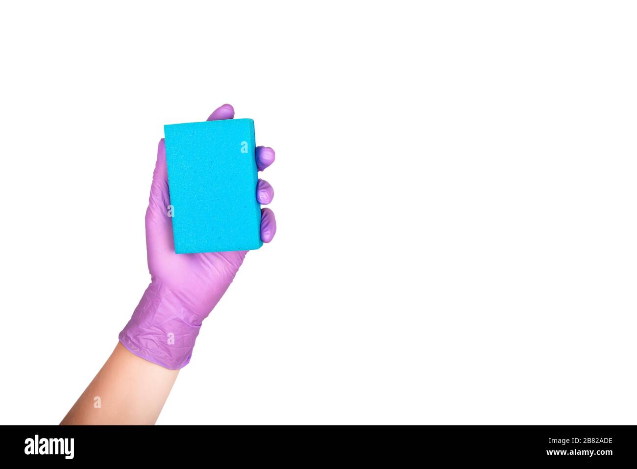 Schwamm zum Waschen von Geschirr in weiblicher Hand. Hand in violettem Latexhandschuh isoliert auf weiß. Handgeste oder Schild der Frau isoliert auf Weiß. Hand in eine Glov Stockfoto
