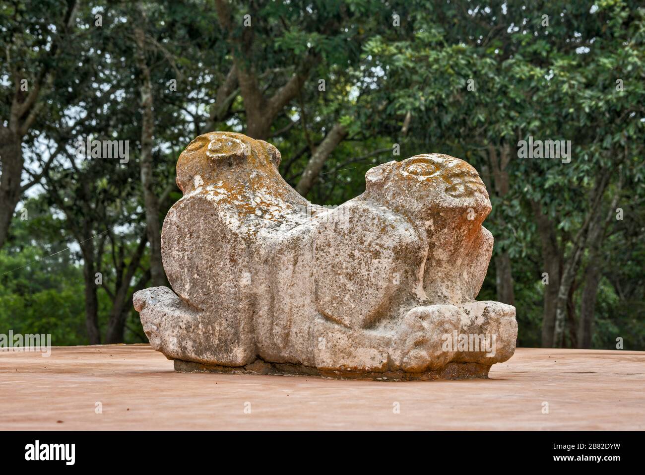 Jaguar-Thron, Skulptur Maya bei Ausgrabungsstätte Uxmal, Halbinsel Yucatan, Mexiko Stockfoto