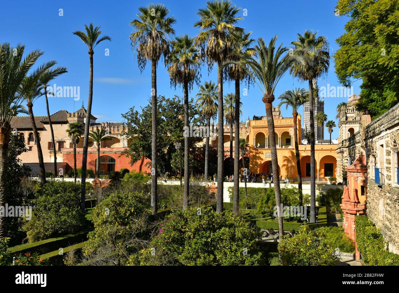 Ein Garten im Alcazar von Sevilla Stockfoto