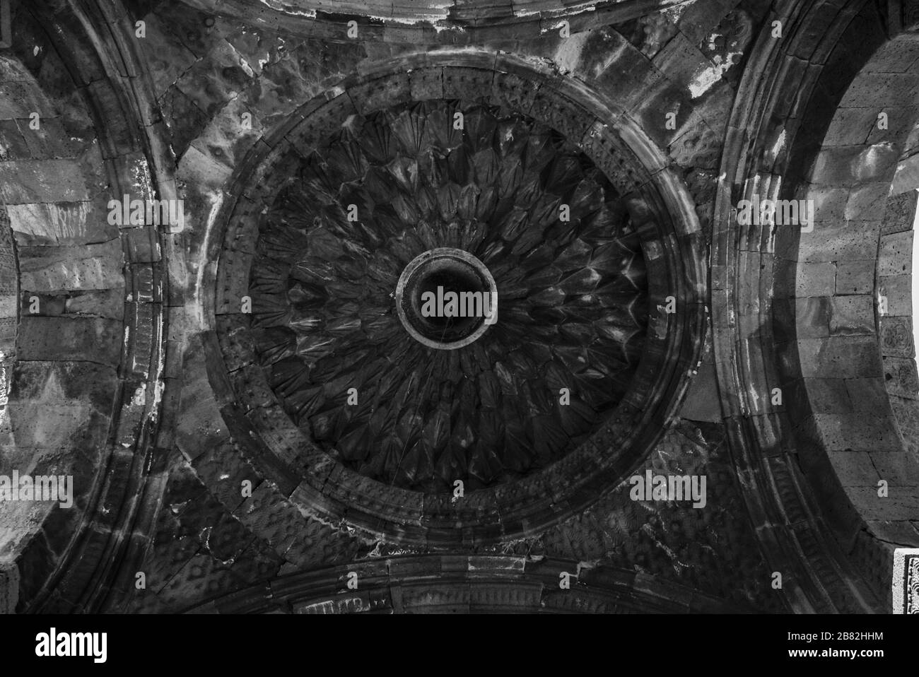 Meine Fotos Stockfoto