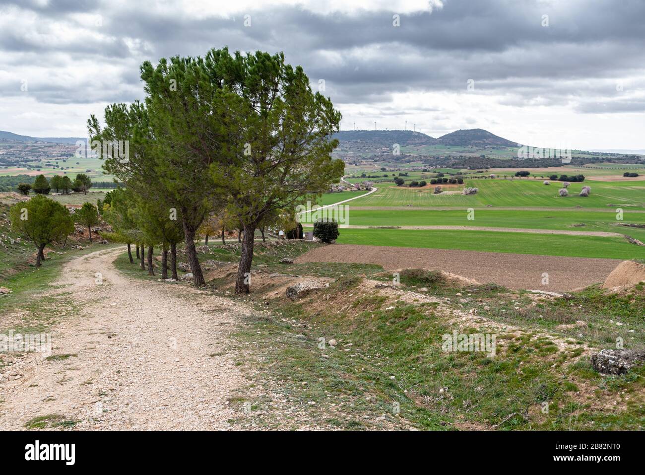 Typische ländliche Landschaft von La Alcarria. Bewölkt Tag, Frühling Stockfoto