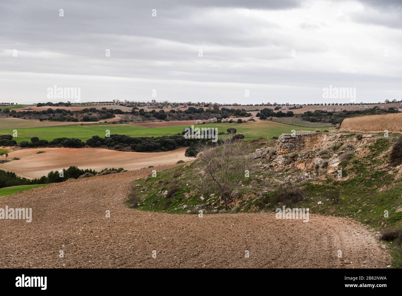 Typische ländliche Landschaft von La Alcarria. Bewölkt Tag, Frühling Stockfoto