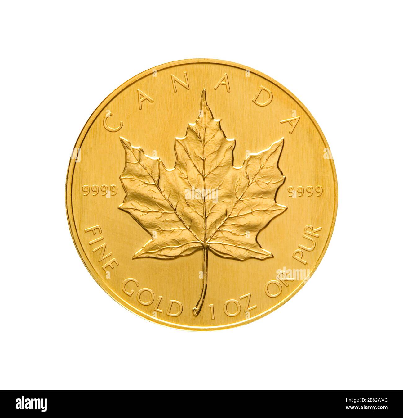 Kanadische Goldmünze, Maple Leaf, Österreich Stockfoto