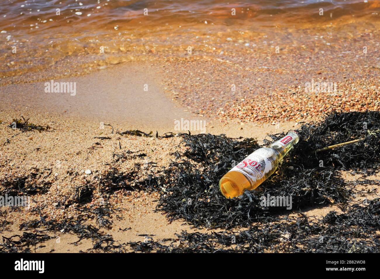 Riga, Lettland - 5. Mai 2018: Sol gelbe Bierflasche an einem Sommertag an der Küste Stockfoto