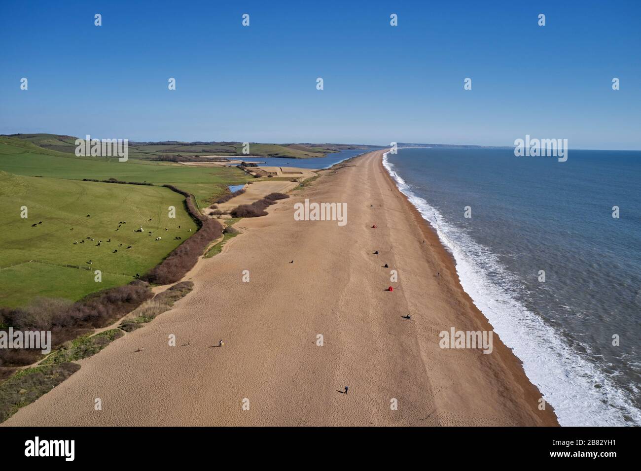 Chesil Beach in Abbotsbury, mit Blick nach Südosten zur Insel Portland. Dorset, England. Stockfoto