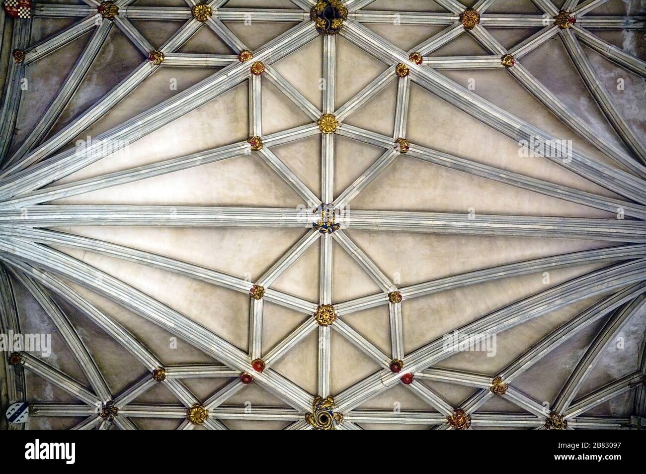 Die gotische Decke in der Kathedrale von Canterbury Stockfoto