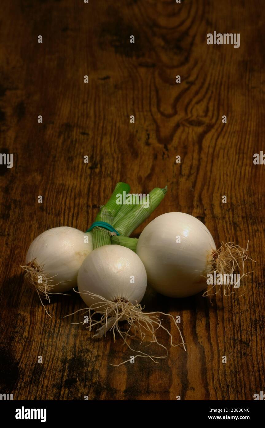 Stillleben von süßen Zwiebeln aus dem valencianischen Garten. Spanien. Stockfoto