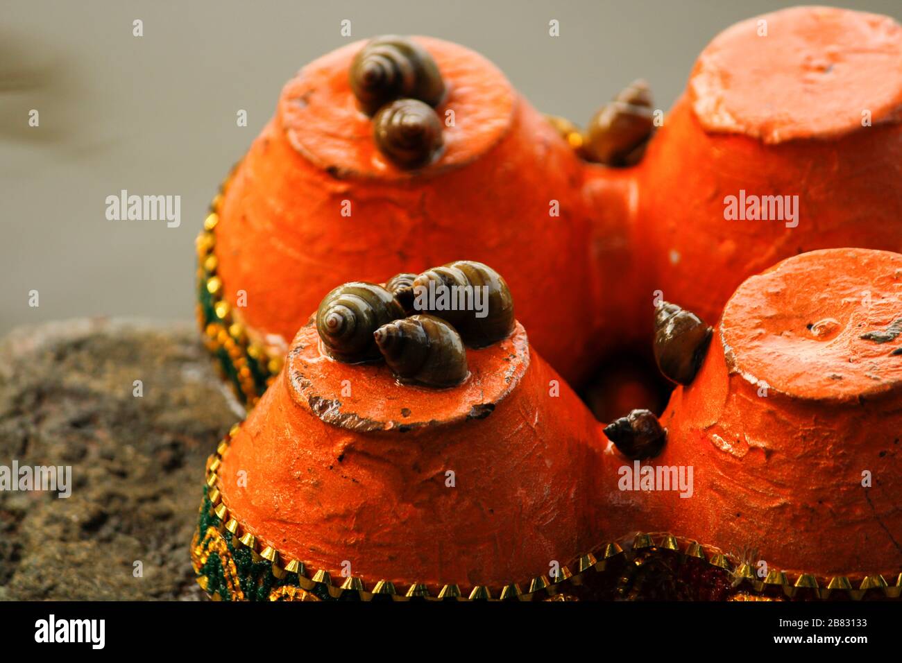Oahu baum schnecke Fotos und Bildmaterial in hoher Auflösung Alamy