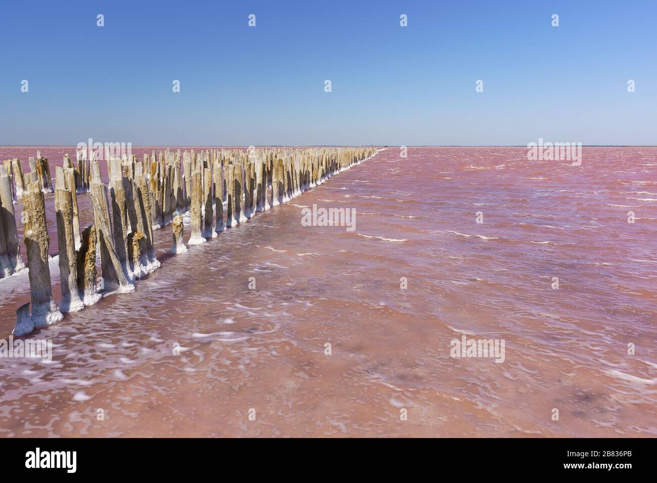 Holzreste des zerstörten Damms am Salzsee Sasyk Sivash pink. Westlicher Teil der Halbinsel Krim, Jewpatoria Stockfoto