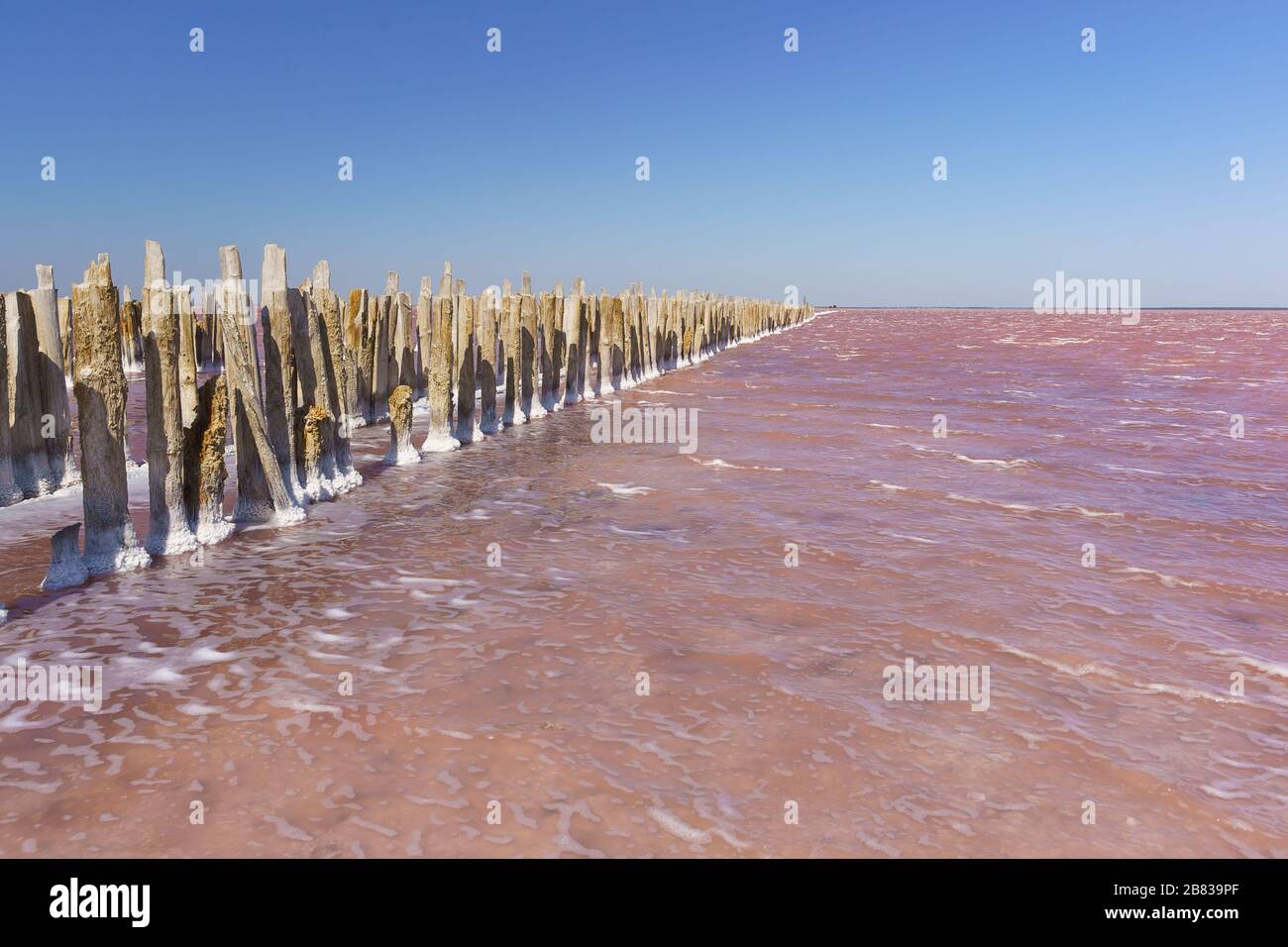 Holzreste des zerstörten Damms am Salzsee Sasyk Sivash hellrosa. Westlicher Teil der Halbinsel Krim, Jewpatoria Stockfoto