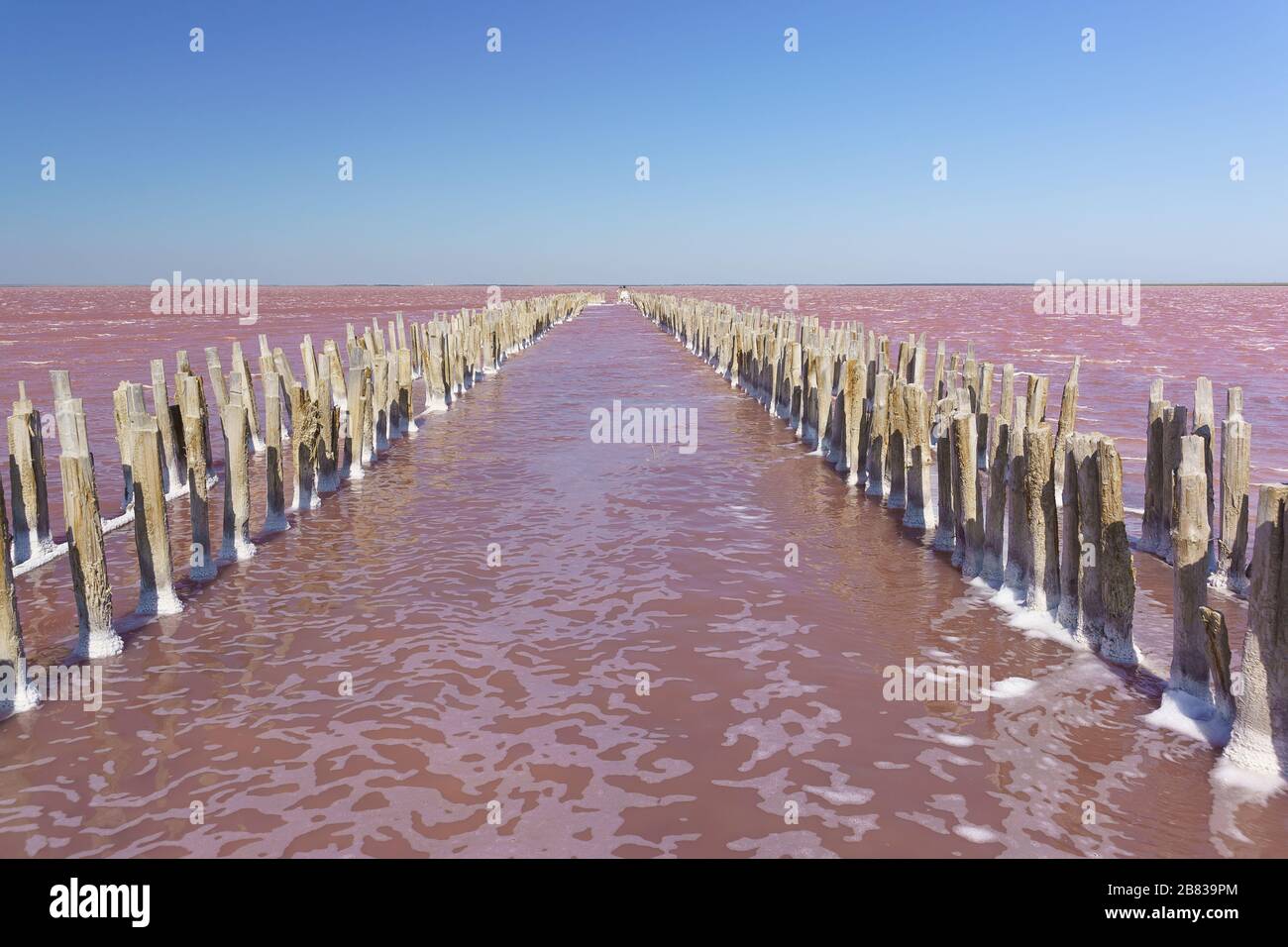 Schöner rosafarbener See Sasyk-Sivash in der Nähe der Ferienstadt Jewpatoria auf der Krim. Sonniger Tag Stockfoto