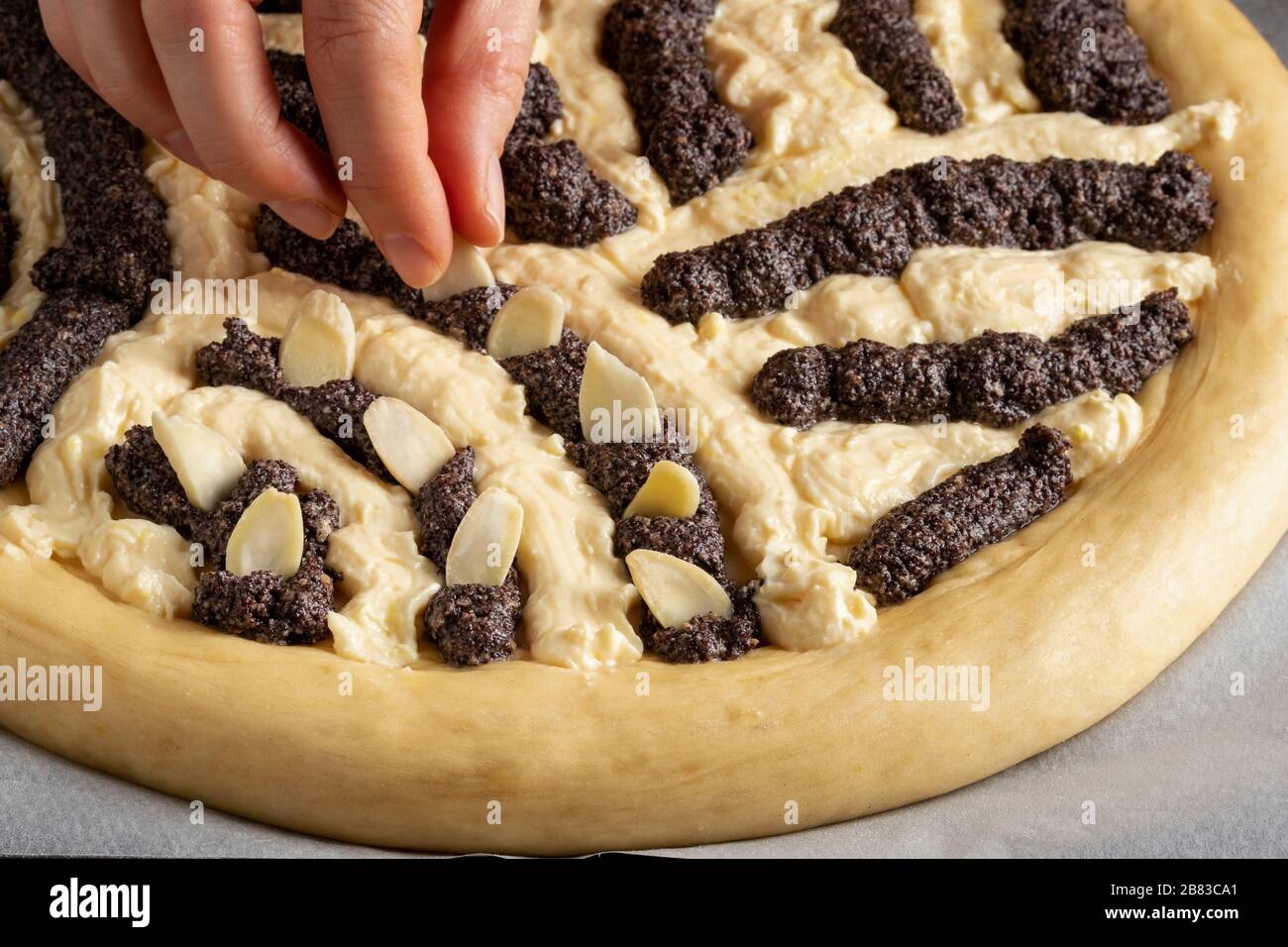 Zubereitung von Chodsky Kolac - traditioneller tschechischer Süßkuchen aus der Chodsko-Region - den Kuchen mit geschnittenen Mandeln schmücken Stockfoto