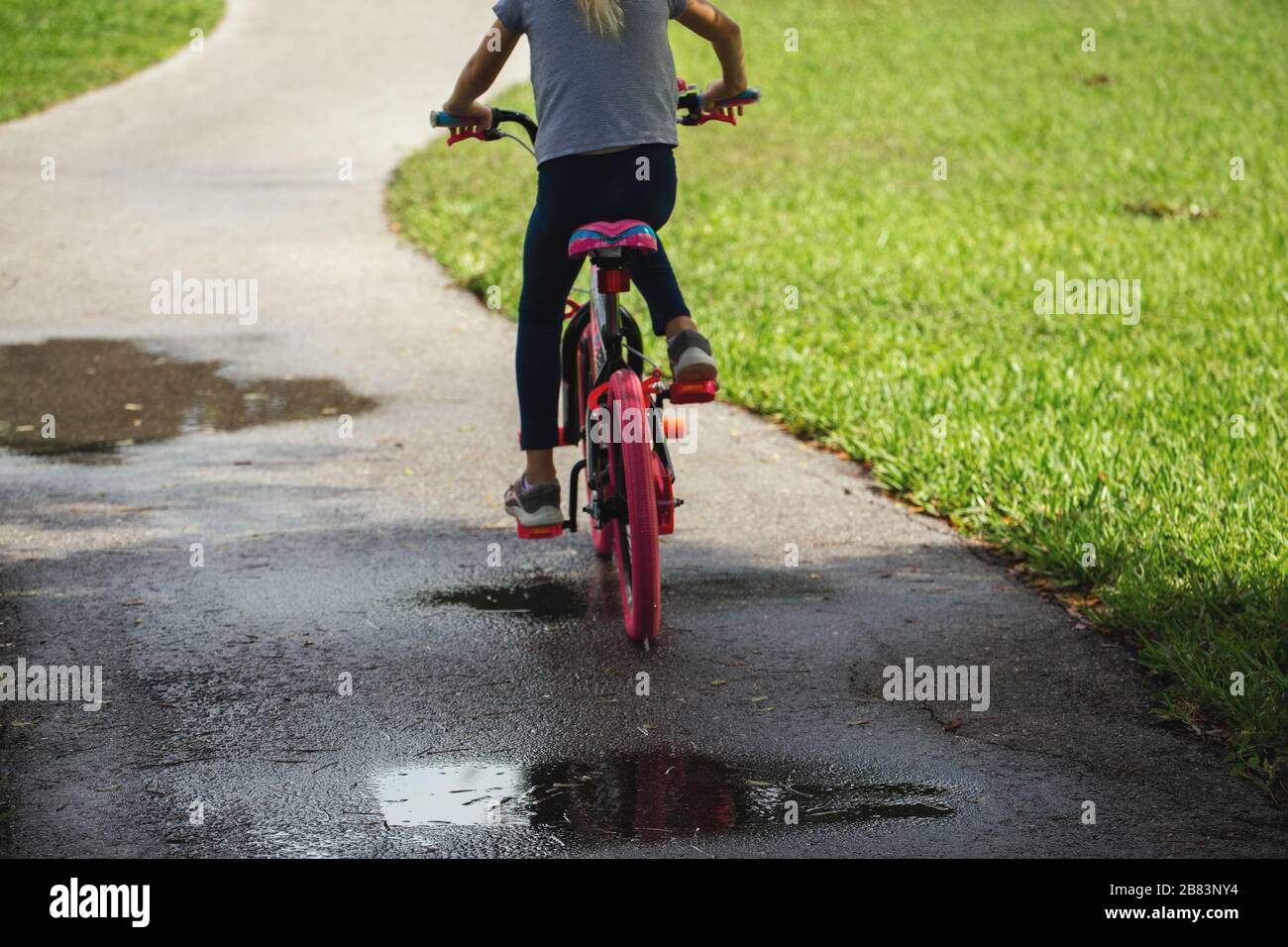 Mädchen, die im Park in der Natur mit dem Fahrrad fahren. Rückansicht. Radfahrer im Sommerpark. Leerzeichen für Text Stockfoto