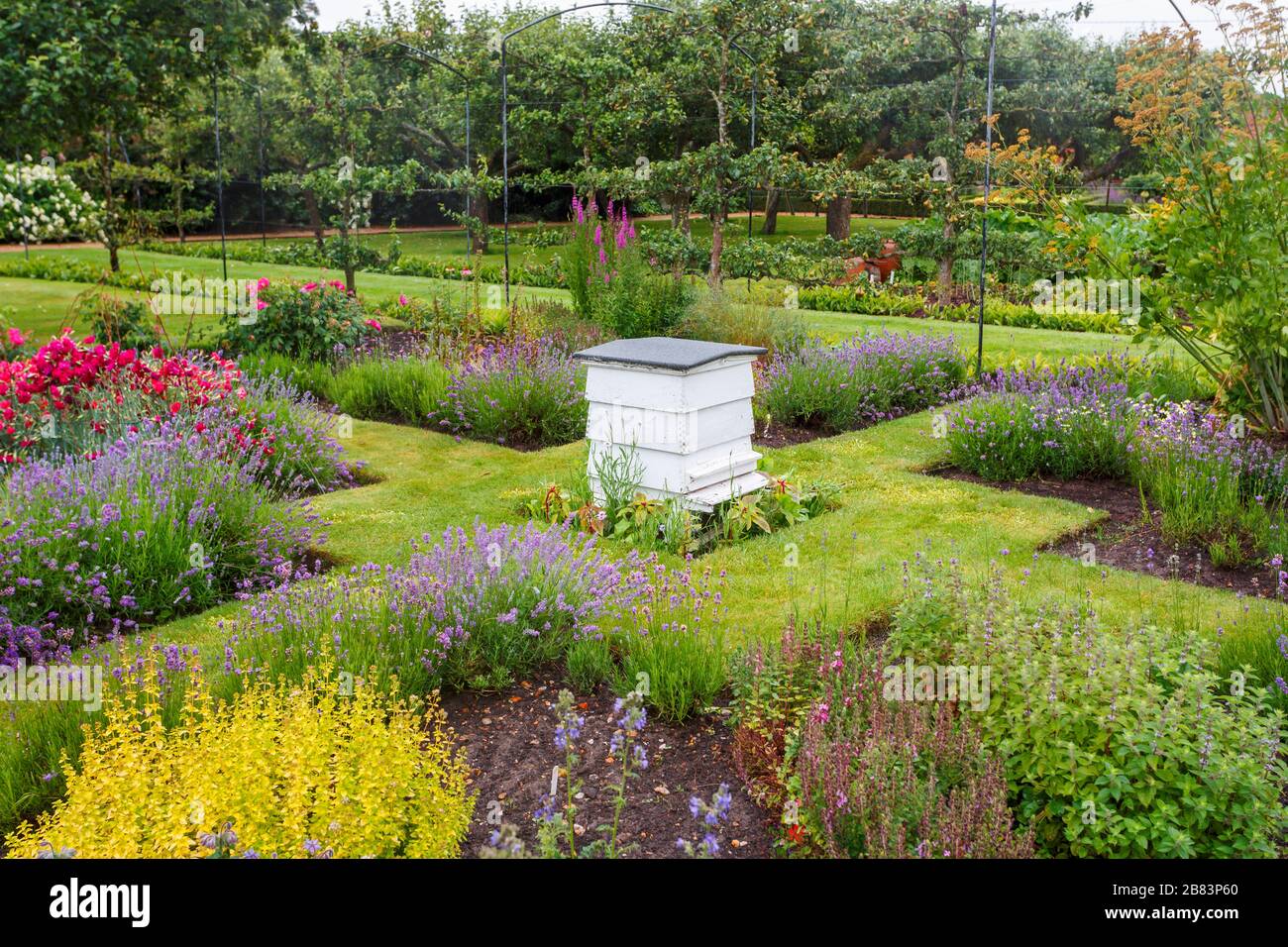 Traditioneller weißer Bienenstock aus Holz, der im Sommer in den hübschen, blühenden Landschaftsgärten der Houghton Hall in Norfolk, East Anglia, England steht Stockfoto
