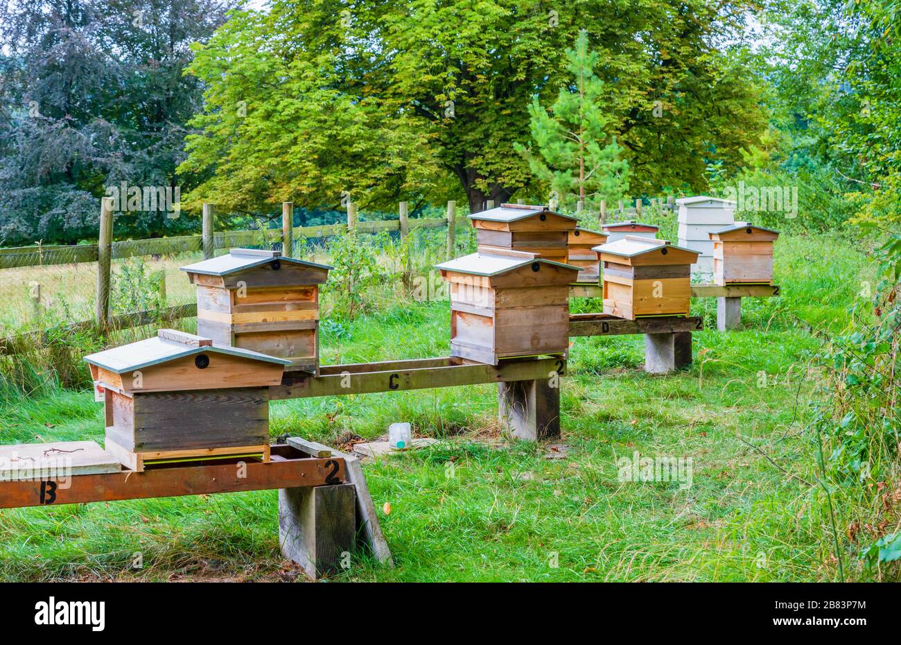 Reihe moderner Holzkehlen im Freien auf einem Feld in Buckinghamshire, Südostengland Stockfoto