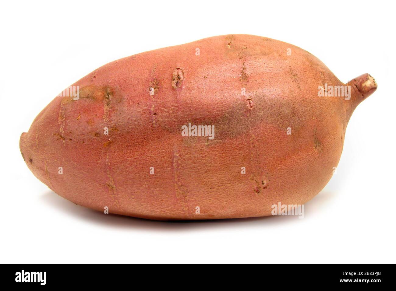 Rote Süßkartoffel auf weißem Hintergrund Stockfoto