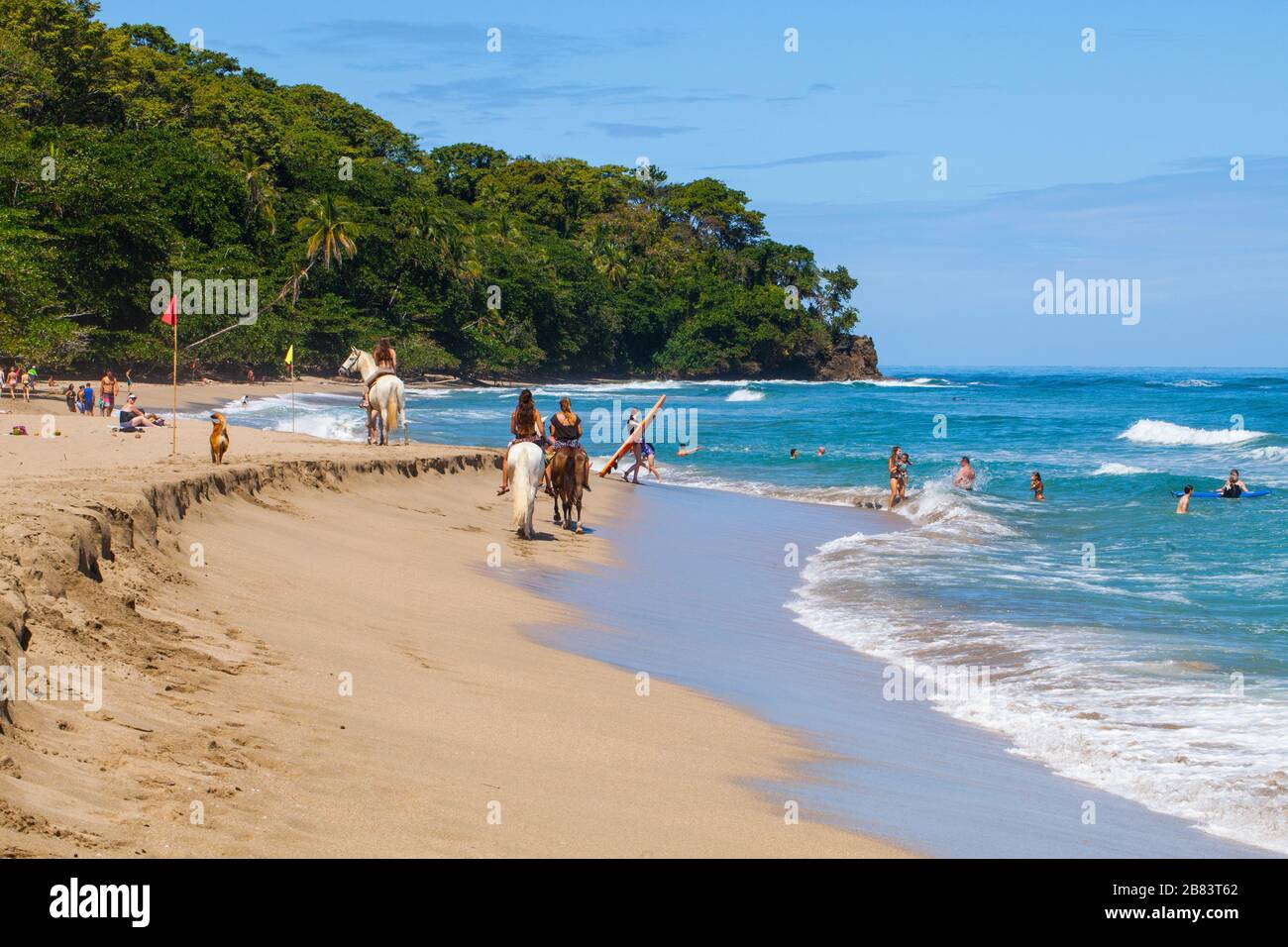 Costa Rica's spektakulärsten Strand Cocles, die in der Nähe von Puerto Viejo gefunden werden kann - beliebtes Ziel für Surfer, Einheimischen und Touristen Stockfoto