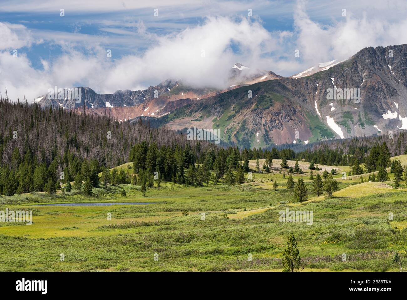 Die Sommerzeit von Never liegt südlich des Long Draw Reservoirs. Dies ist ein Blick vom Grand View Campground im Roosevelt National Forest, Colorado. Stockfoto Die Sommerzeit von Never liegt südlich des Long Draw Reservoirs. Dies ist ein Blick vom Grand View Campground im Roosevelt National Forest, Colorado. Stockfoto