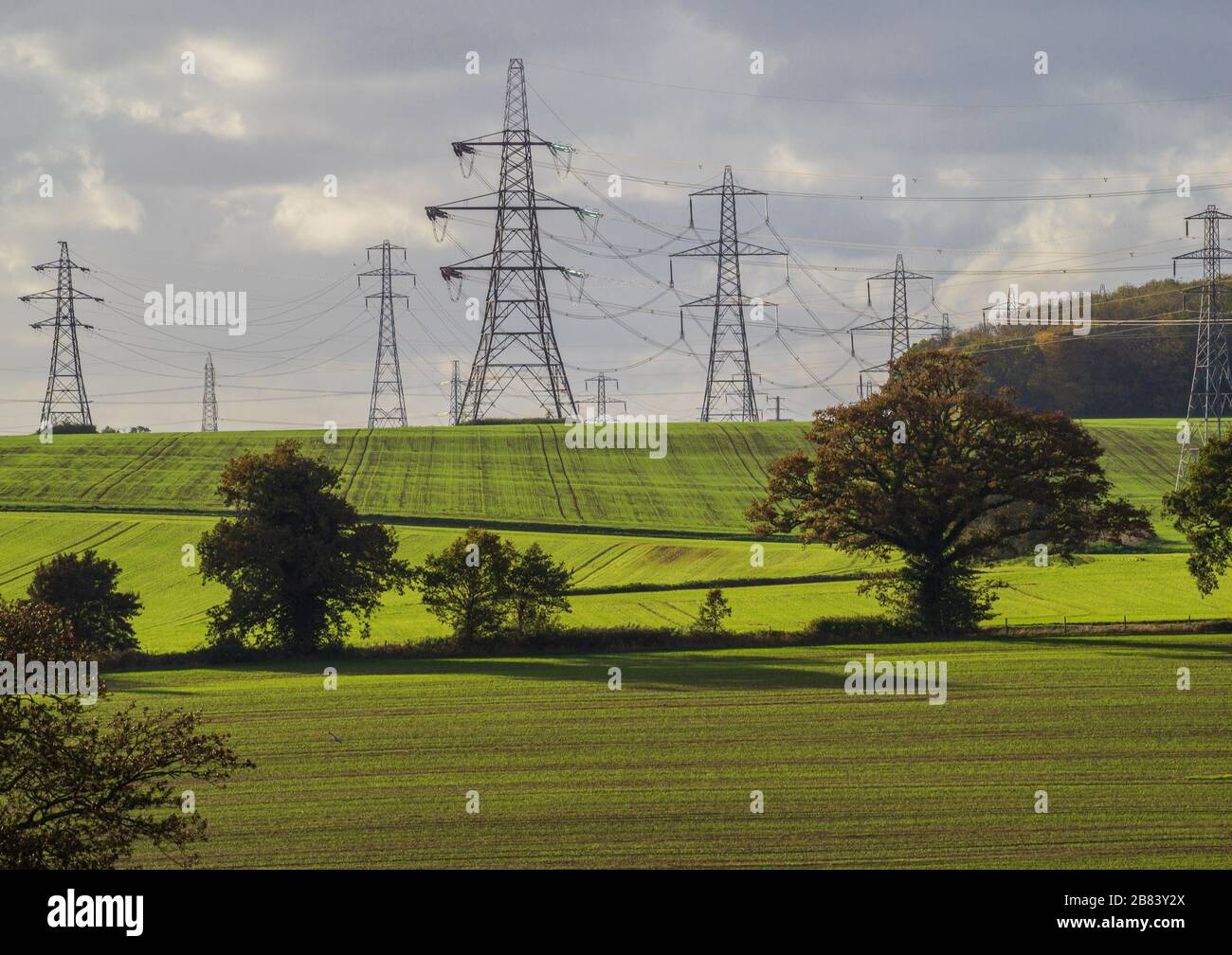 Strom Leitungen und Masten in Feldern Stockfoto