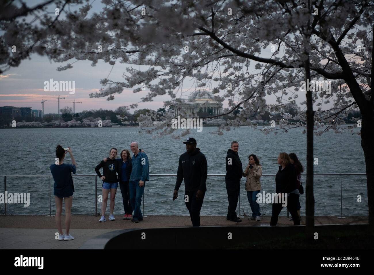 Washington, USA. März 2020. In der Abenddämmerung fotografieren Besucher im Gezeitenbecken, das der Höhepunkt der Kirschblüte nähert, während der sich verschlechternden Coronavirus-Pandemie in Washington, DC am 19. März 2020. Diese Woche, als die Gesamtzahl der Fälle 200.000 weltweit überschritt, übertraf Italien China als das Land mit den meisten gemeldeten Todesfällen, die dem COVID-19-Virus zugeschrieben wurden. (Graeme Sloan/Sipa USA) Credit: SIPA USA/Alamy Live News Stockfoto