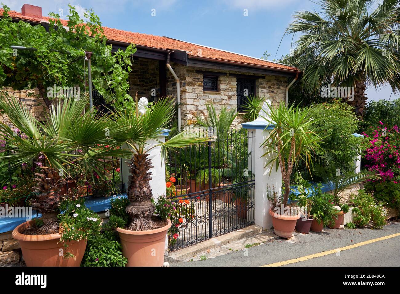 Der Blick auf den schönen Garten mit Palmen in der Nähe des traditionellen weißen Steinhauses im Dorf Pano Lefkara. Zypern Stockfoto