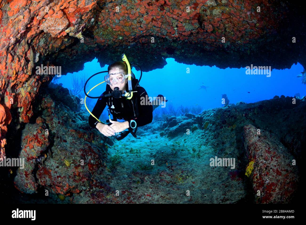 Tauchen in Sint Maarten/Saint Martin mit Ocean Explorers Dive Center - Tauchstelle: Fischschüssel Stockfoto