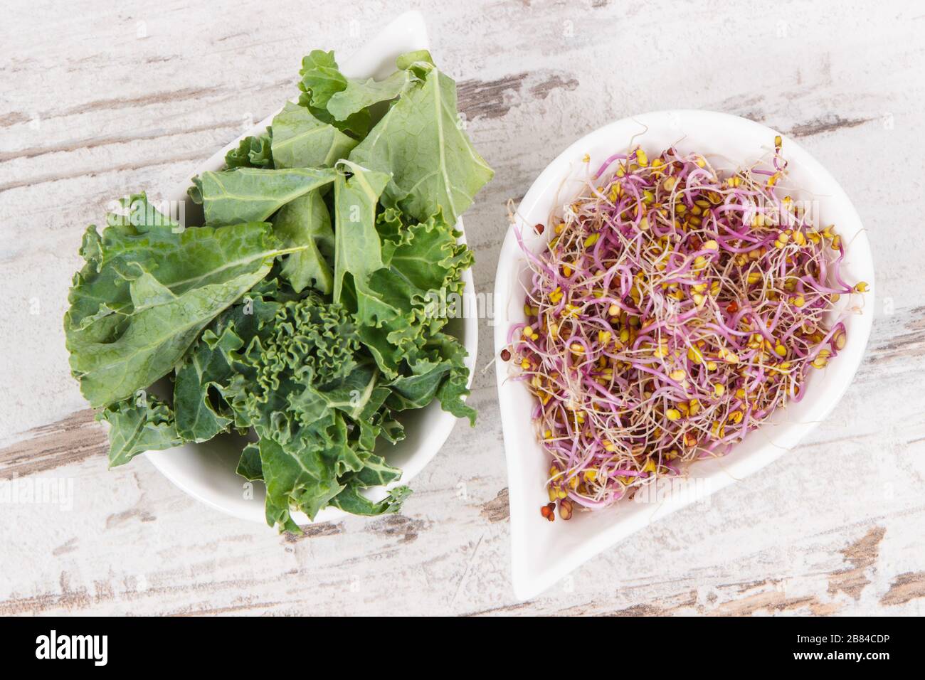 Nahrhafte Grünkohl Rosenkohl als Quelle natürliche Vitamine und Mineralien. Gesunde Ernährung Stockfoto