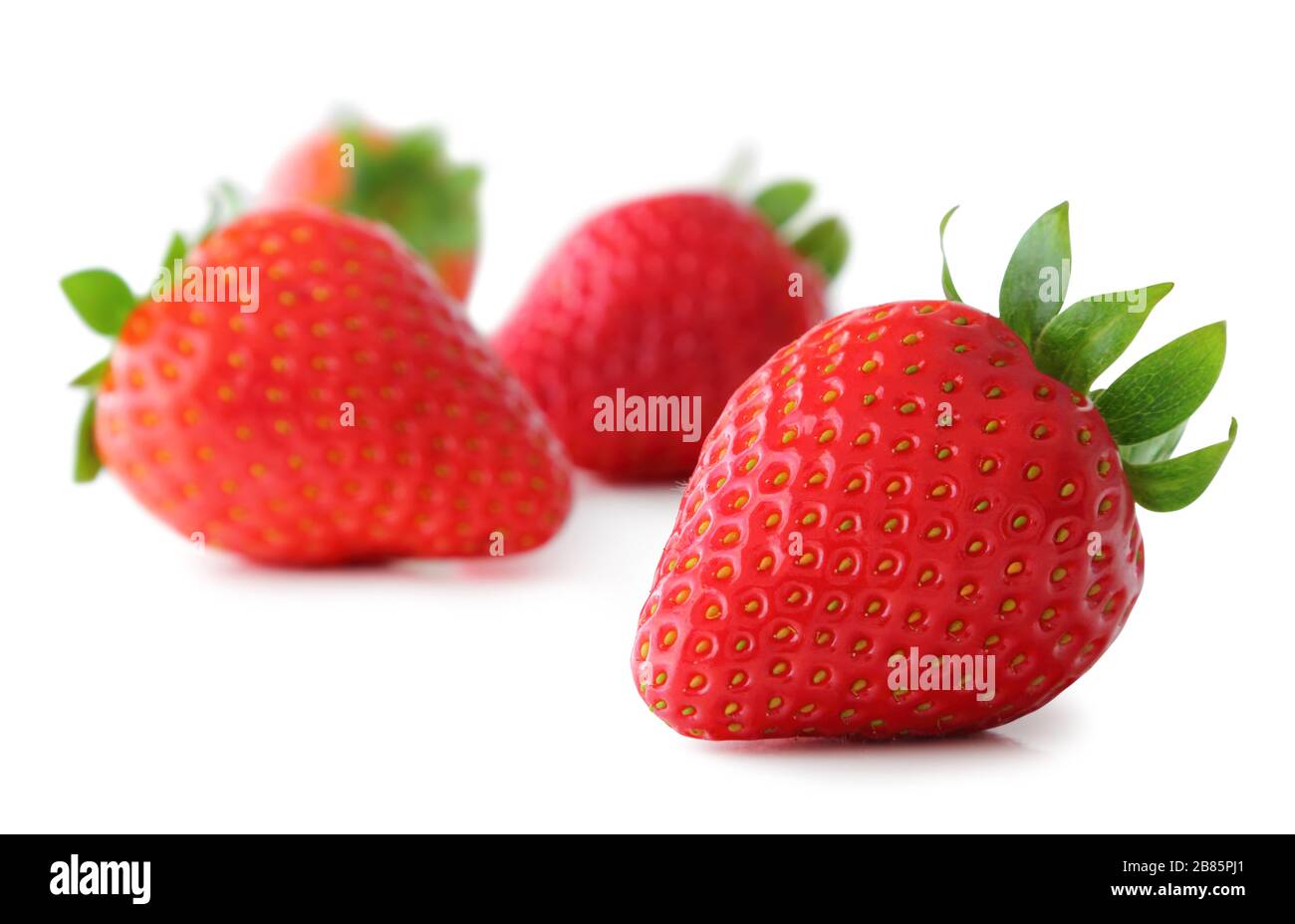 Erdbeeren (Fragaria, Rosoideae) isoliert auf weißem Hintergrund, einschließlich Beschneidungspfad nur für die vordere Erdbeere ohne Schatten. Deutschland Stockfoto