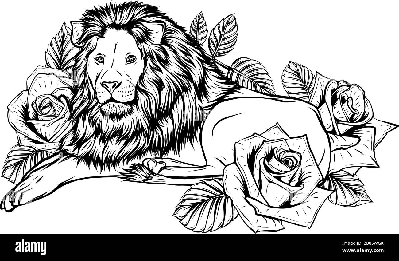 König der Löwen. Vektor-Illustration-Design isoliertes Tier. Stock Vektor